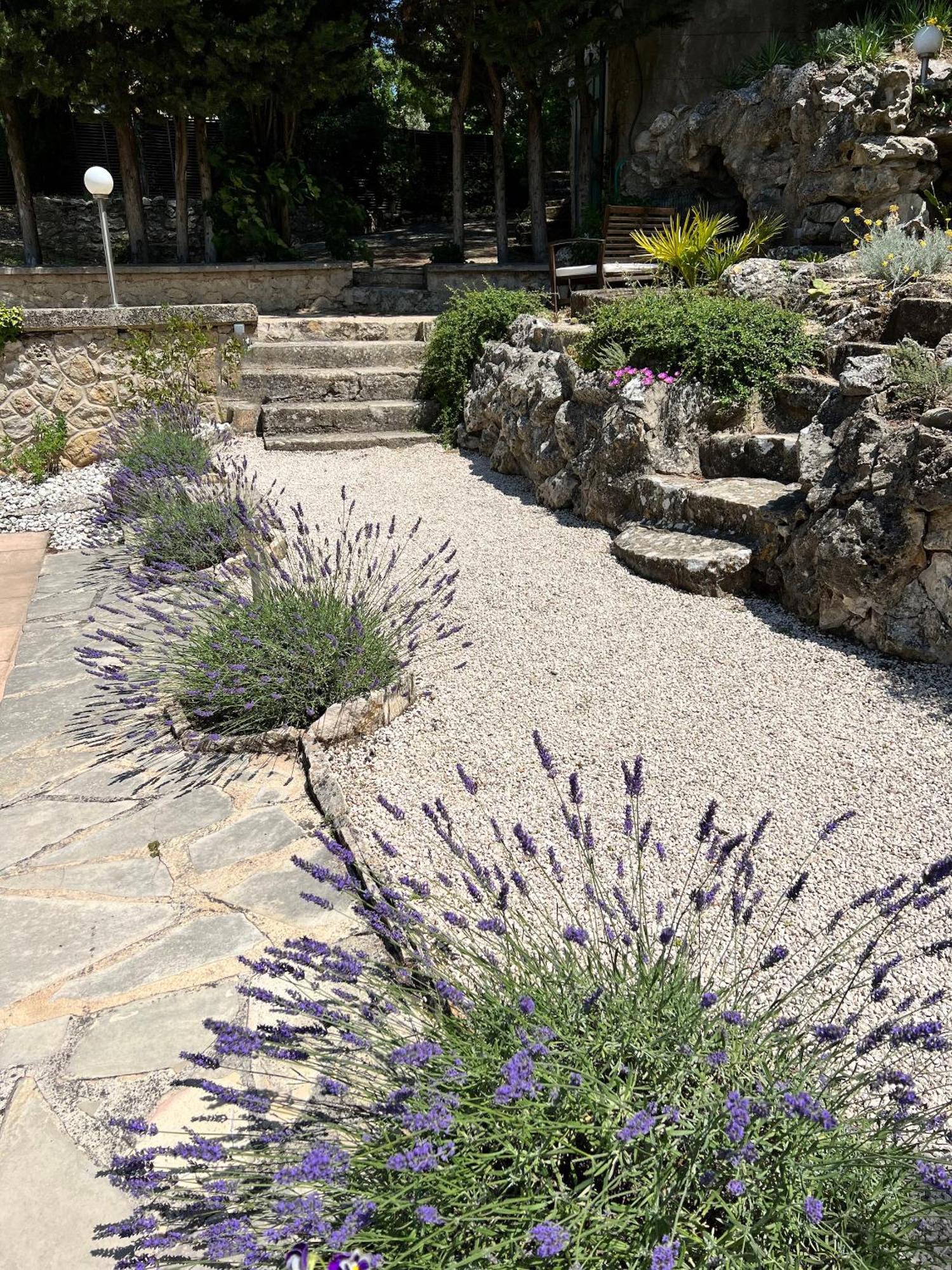 Villa Suzanne - Lambesc Centre מראה חיצוני תמונה